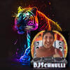 DJSchnulli