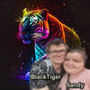 DuoSandTiger