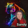 Sandy